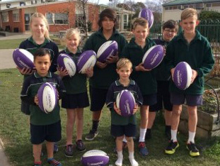 highfield-school-rugby-balls